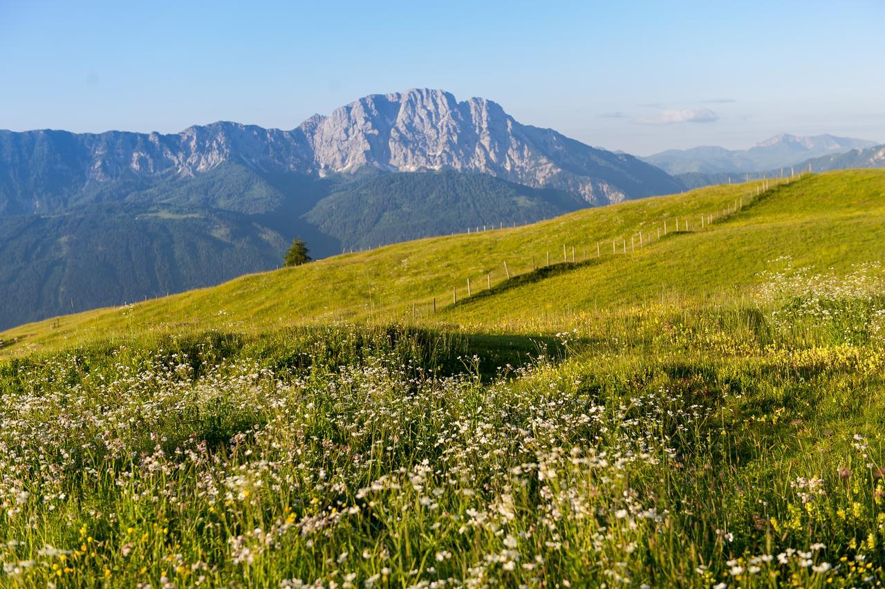 Sattleggers Alpenhof & Feriensternwarte Hotel Greifenburg Kültér fotó