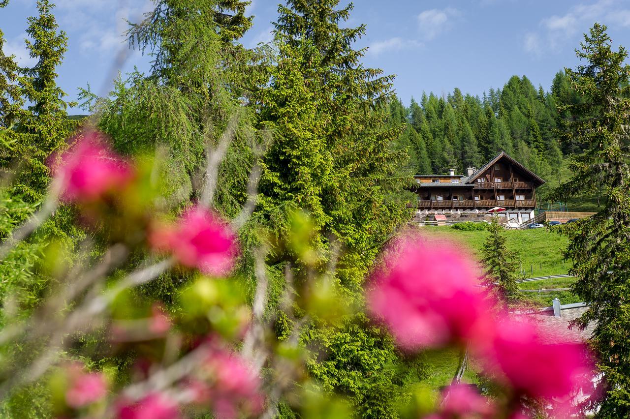 Sattleggers Alpenhof & Feriensternwarte Hotel Greifenburg Kültér fotó