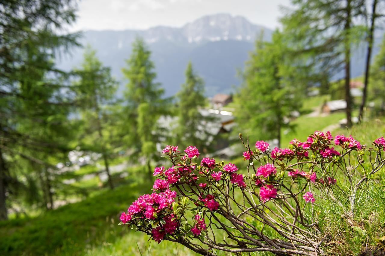 Sattleggers Alpenhof & Feriensternwarte Hotel Greifenburg Kültér fotó