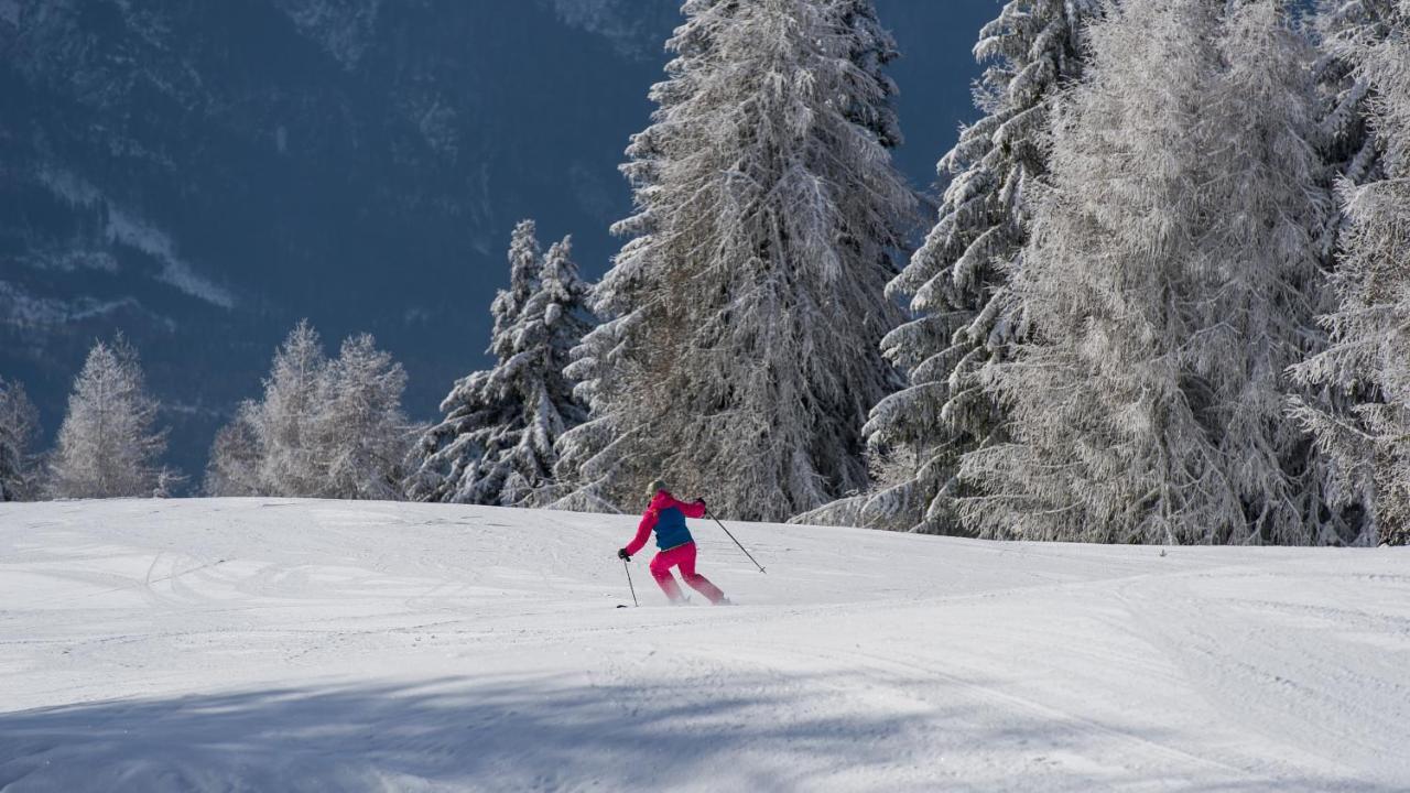 Sattleggers Alpenhof & Feriensternwarte Hotel Greifenburg Kültér fotó